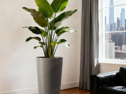 Planter For Outdoor