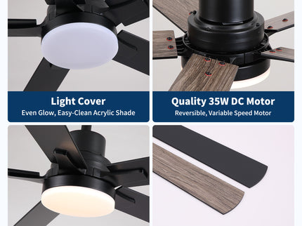 Ceiling Fan With Lights And Remot With Quiet DC Motor, 6 Speeds, Reversible Blades - Black