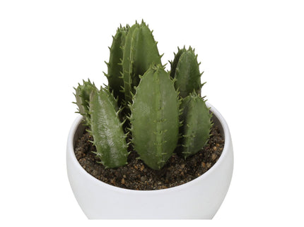 Artificial Succulent Plants (Set of 3)
