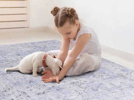 Maval - 2' X 3' Washable Area Rug - Blue / Cream