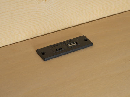 Daybed With Storage Shelves, USB Charging, And Trundle Bed