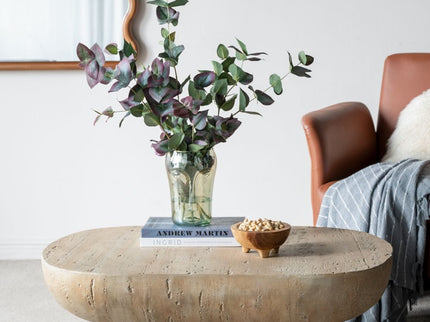 Organic Design Oval Coffee Table