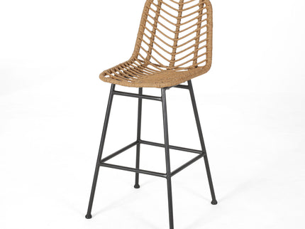 Sawtelle - Outdoor Wicker Barstools (Set of 2)