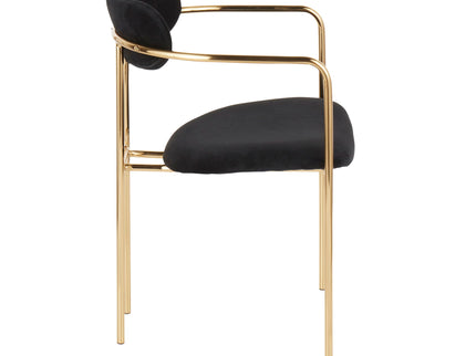 Demi - Contemporary Chair (Set of 2)