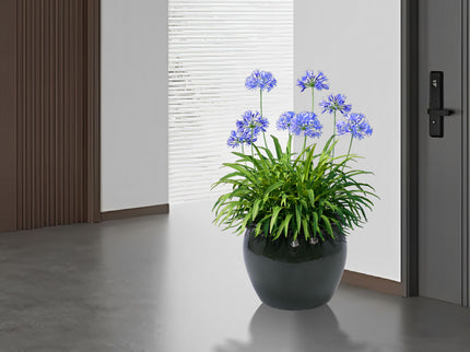 3 Pieces Ceramic Flowerpot, Planter For Patio, Garden Or Windowsills