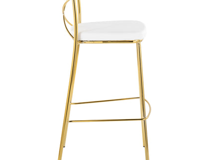 Modern Charlotte - Contemporary Fixed Height Barstool (Set of 2)