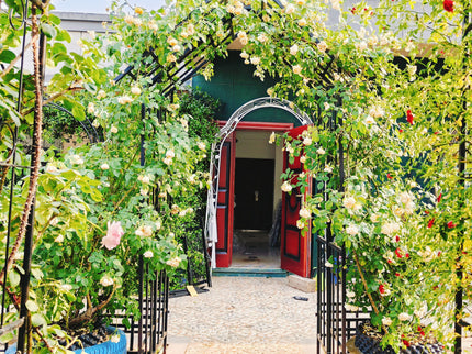 Garden Arch With Adjustable Width Climbing Plants Support - Black