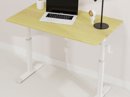 Adjustable Home Office Desk