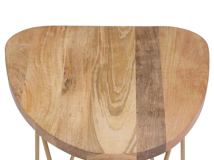 Patrice - Handcrafted Metal And Wood Accent Table