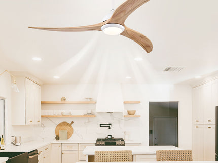 Indoor Outdoor Ceiling Fan With Light With Remote Control, Noiseless Reversible Motor, 6 Speed, 3 Color
