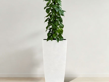 Indoor Outdoor Planter With Automatic Watering System
