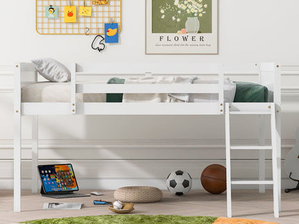 Low Loft Bed With Adjustable Ladder