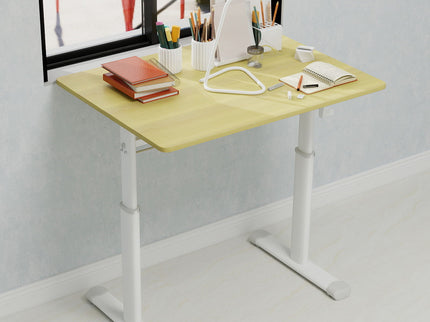 Adjustable Home Office Desk