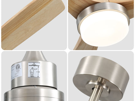 Indoor Ceiling Fan With Dimmable LED Light, 6 Speed Remote ControlLED DC Motor, Reversible Blades