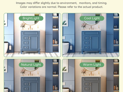 Bathroom Vanity With Sink, Compact Cabinet & 2 Drawers And Adjustable Shelf