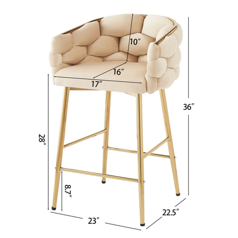Modern Counter Stools (Set of 2)