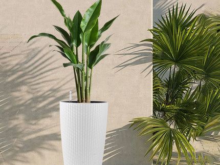 Tall Planters Set With Water Level Monitor And Auto Watering