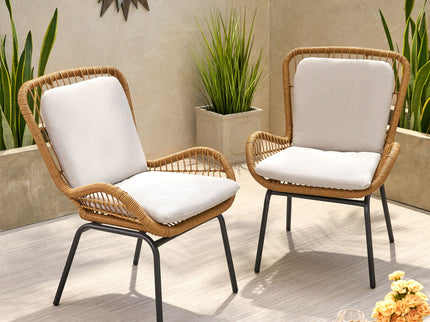 Outdoor Wicker Club Chair With Cushions (Set of 2)
