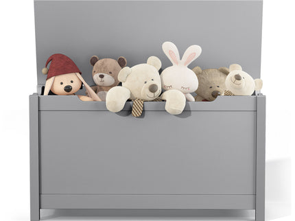 Toy Box Storage With Safety Hinged Lid