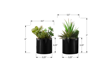 Artificial Succulent Plants (Set of 2)