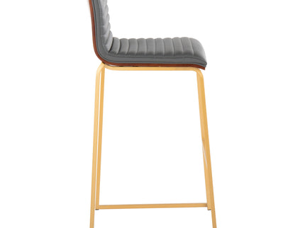 Mason Mara - Contemporary Versatile Desig Fixed Height Barstool (Set of 2)