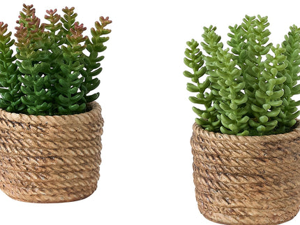 Artificial Succulent, Table Decor (Set of 2) - Green / Light Brown - Plastic