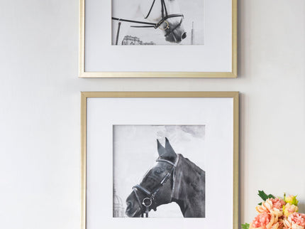 Wall Art Horse Animal Printing, Wall Decor Accent (Set of 2) - Golden / White