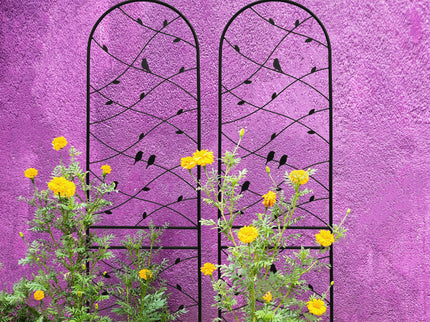 Garden Rustproof Trellis For Climbing Plants