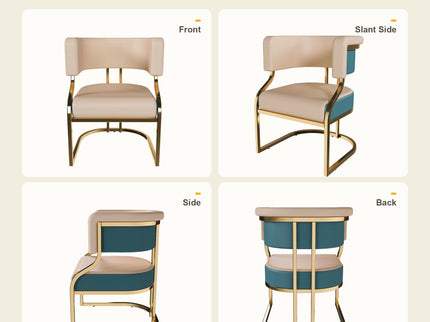 Dining Chairs Ergonomic Curved Backres (Set of 2) - Blue / Neutral