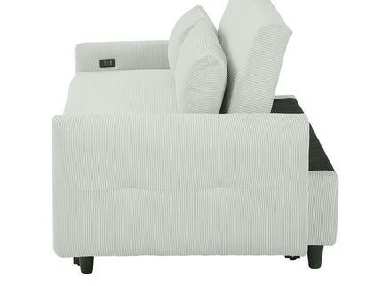 Pull-Out 2 Seat Modern Sleeper Sofa With 2 Throw Pillows And USB Ports