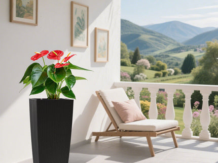 Indoor Outdoor Planter With Automatic Watering System