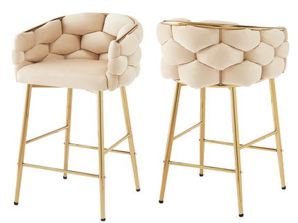 Modern Counter Stools (Set of 2)