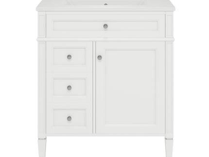 Bathroom Vanity With Top Sink, Modern Bathroom Storage Cabinet With 2 Drawers And A Tip-Out Drawer
