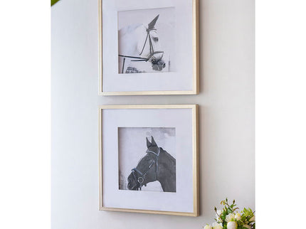 Wall Art Horse Animal Printing, Wall Decor Accent (Set of 2) - Golden / White