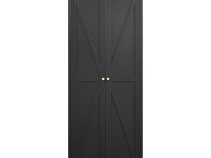 Adjustable 2 Door Storage Cabinet With Adjustable Shelves