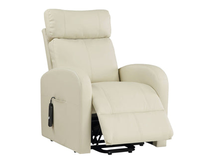 Ricardo - Power Motion Recliner With Lift