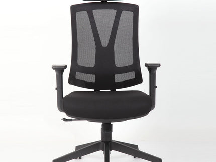 Office Chair With Adjustable Headrest & Back, High Back Swivel Desk Chair - Black
