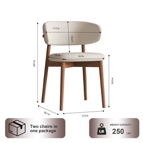 Mid-Century Modern Dining Chair (Set of 2)