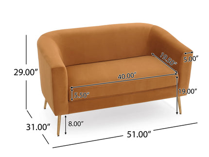 Modern Elegant Design Style Loveseat