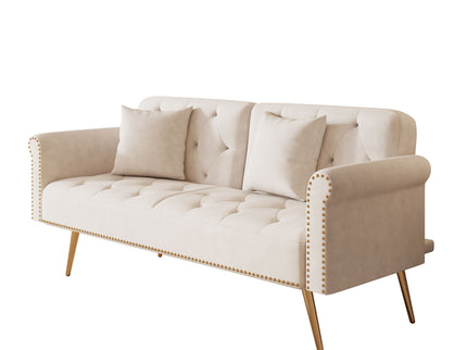Luxurious Sofa Bed With Nail Head Trim And Matching Pillow