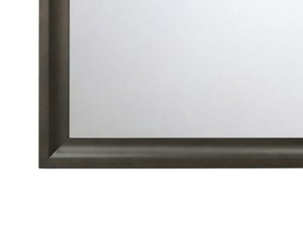 Soteris - Mirror - Antique Gray