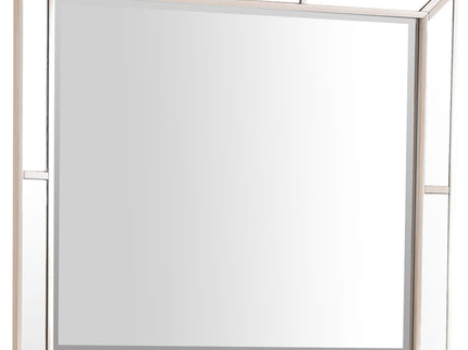 Elegant Contemporary Mirror