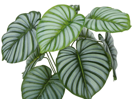 24" Tall, Artificial Plant, Calathea, Indoor, Faux, Fake, Table, Greenery, Potted, Real Touch, Decorative - Green / Black