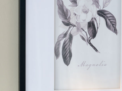 Botanical Wall Art Prints, Home Decor For Living Room Dining Room, Bedroom, Hallway (Set of 4) - White / Black