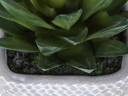 Artificial Succulent, Table Decor (Set of 2) - Green / Gray