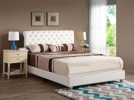Elegant Transitional Upholstered Bed