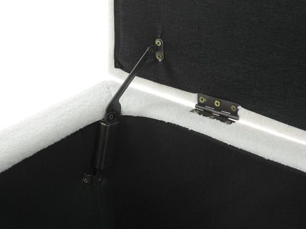 Ottoman Storage Bench