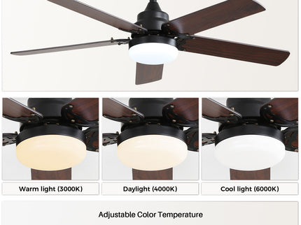 Modern Ceiling Fan With 3 Color Dimmable Light 5 Blades Remote Control Reversible Dc Motor For Bedroom - Black