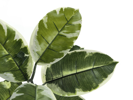 52" Tall, Artificial Plant, Rubber Tree, Indoor, Fake, Floor, Greenery, Potted, Real Touch, Decorative - Green / Black