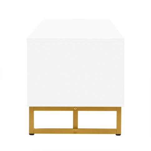 TV Stand With Storage For Living Room